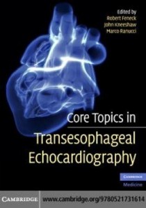 Baixar Core Topics in Transesophageal Echocardiography pdf, epub, eBook