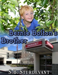 Baixar Bernie bolton’s brother pdf, epub, eBook