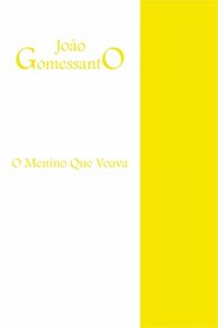 Baixar O Menino Que Voava pdf, epub, eBook