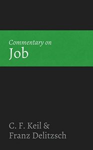 Baixar Commentary on Job (English Edition) pdf, epub, eBook