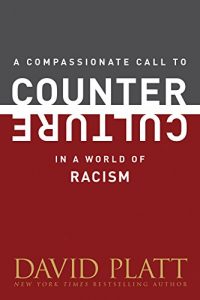 Baixar A Compassionate Call to Counter Culture in a World of Racism (Counter Culture Booklets) (English Edition) pdf, epub, eBook