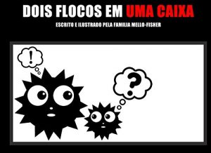 Baixar Dois Flocos Em Uma Caixa pdf, epub, eBook