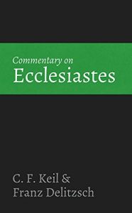 Baixar Commentary on Ecclesiastes (English Edition) pdf, epub, eBook