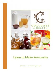 Baixar Learn to Make Kombucha (English Edition) pdf, epub, eBook