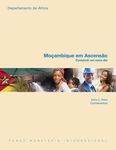 Baixar Mozambique Rising: Building a New Tomorrow pdf, epub, eBook