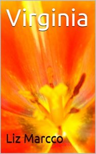 Baixar Virginia pdf, epub, eBook