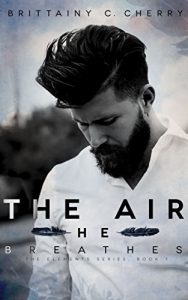 Baixar The Air He Breathes (English Edition) pdf, epub, eBook