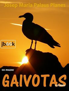 Baixar Gaivotas [estendido] pdf, epub, eBook