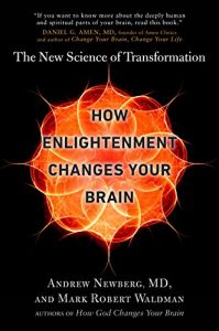 Baixar How Enlightenment Changes Your Brain: The New Science of Transformation pdf, epub, eBook