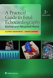 Baixar A Practical Guide to Fetal Echocardiography: Normal and Abnormal Hearts pdf, epub, eBook