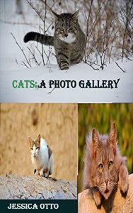 Baixar CATS: A PHOTO GALLERY pdf, epub, eBook
