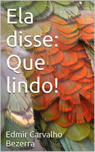 Baixar Ela disse: Que lindo! pdf, epub, eBook