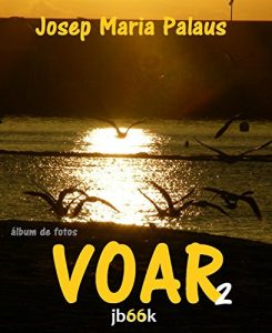 Baixar VOAR [2] pdf, epub, eBook