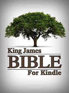 Baixar KING JAMES BIBLE TOUCH – KJV (English Edition) pdf, epub, eBook