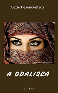 Baixar A ODALISCA: BASHIR EM DESENCONTROS -2 pdf, epub, eBook