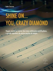 Baixar Shine on… You, Crazy Diamond pdf, epub, eBook