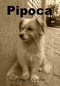 Baixar Pipoca pdf, epub, eBook