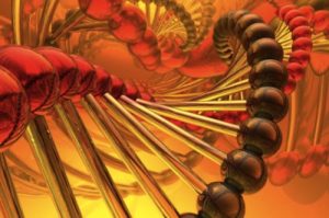 Baixar Raio-X da História – Uma proposta para a aplicação da metodologia da Genealogia Genética à pesquisa histórica pdf, epub, eBook