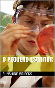 Baixar O PEQUENO ESCRITOR pdf, epub, eBook