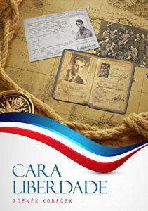 Baixar Cara Liberdade pdf, epub, eBook