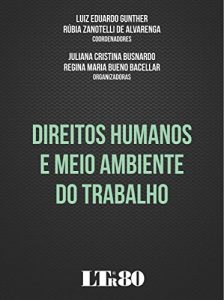 Baixar Direitos Humanos e Meio Ambiente do Trabalho pdf, epub, eBook