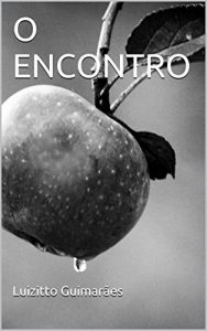 Baixar O ENCONTRO pdf, epub, eBook