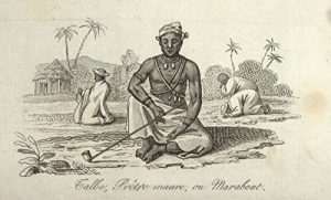 Baixar Uma resenha para Gilberto Freyre pdf, epub, eBook