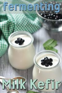 Baixar Fermenting vol. 3: Milk Kefir (English Edition) pdf, epub, eBook