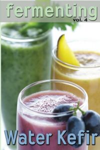 Baixar Fermenting vol. 4: Water Kefir (English Edition) pdf, epub, eBook
