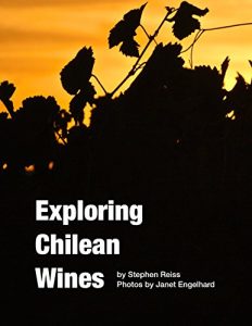 Baixar Exploring Chilean Wines (English Edition) pdf, epub, eBook