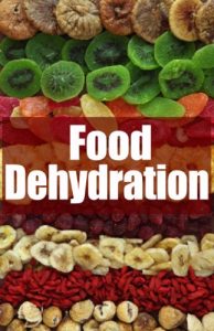 Baixar Food Dehydration – The Ultimate Recipe Guide (English Edition) pdf, epub, eBook