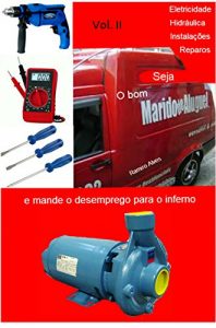 Baixar Seja o bom marido de aluguel: e mande o desemprego para o inferno pdf, epub, eBook