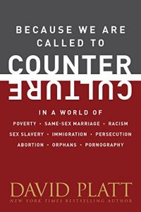 Baixar Because We Are Called to Counter Culture: In a World of Poverty, Same-Sex Marriage, Racism, Sex Slavery, Immigration, Persecution, Abortion, Orphans, and … (Counter Culture Booklets) (English Edition) pdf, epub, eBook
