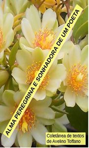 Baixar Alma peregrina e sonhadora de um poeta pdf, epub, eBook