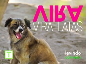 Baixar Vira, Viralatas pdf, epub, eBook