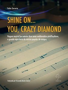 Baixar Shine On… You, Crazy Diamond pdf, epub, eBook