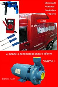 Baixar Seja o bom marido de aluguel: e mande o desemprego para o inferno pdf, epub, eBook