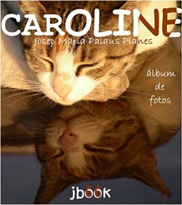 Baixar Caroline [pt] pdf, epub, eBook