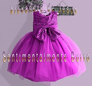 Baixar Sentimentalmente Burro pdf, epub, eBook