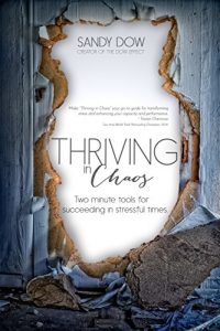 Baixar Thriving in Chaos: Two-Minute Tools for Succeeding in Stressful Times (English Edition) pdf, epub, eBook