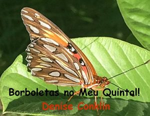 Baixar Borboletas no Meu Quintal! pdf, epub, eBook