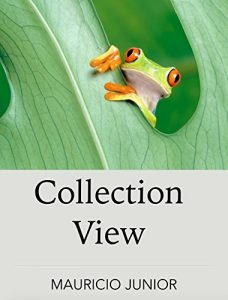 Baixar CollectionView: iOS Developer 5 pdf, epub, eBook