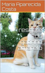 Baixar Cidinha em o resgate do gatinho amarelo. pdf, epub, eBook