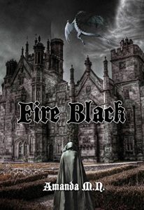 Baixar Fire Black pdf, epub, eBook