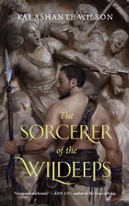 Baixar The Sorcerer of the Wildeeps pdf, epub, eBook