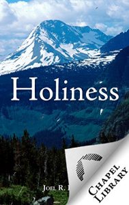 Baixar Holiness (English Edition) pdf, epub, eBook