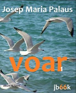 Baixar VOAR [1] pdf, epub, eBook