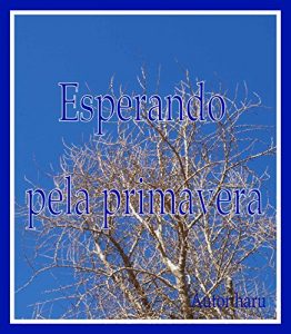 Baixar Esperando pela primavera pdf, epub, eBook