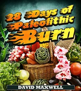 Baixar 28 Days of Paleolithic Burn (Paleo Diet Book 1) (English Edition) pdf, epub, eBook