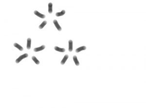 Baixar kinoumitayume: himikokaranomessage (Japanese Edition) pdf, epub, eBook